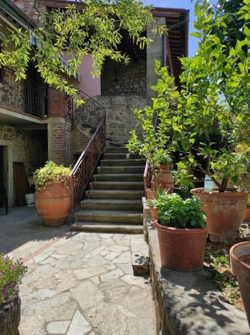 Appartamento Petreto Il Giardino Dei Limoni Castiglion Fiorentino Esterno foto