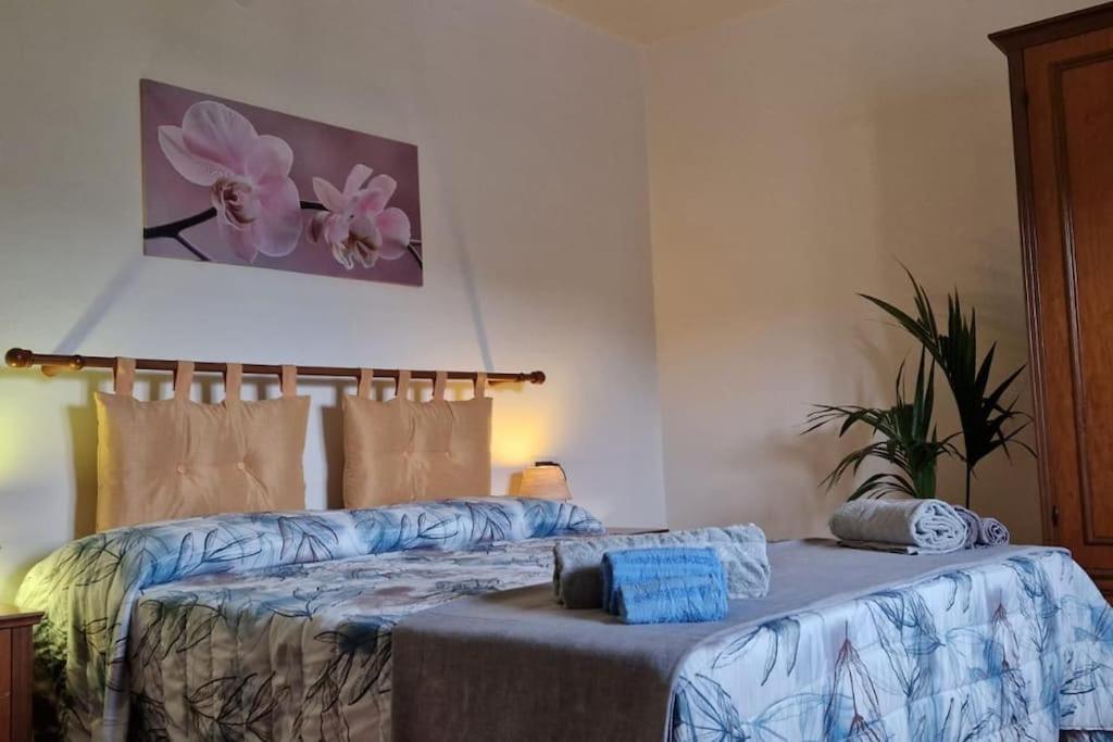 Appartamento Petreto Il Giardino Dei Limoni Castiglion Fiorentino Esterno foto