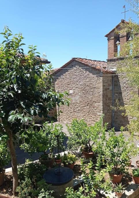 Appartamento Petreto Il Giardino Dei Limoni Castiglion Fiorentino Esterno foto
