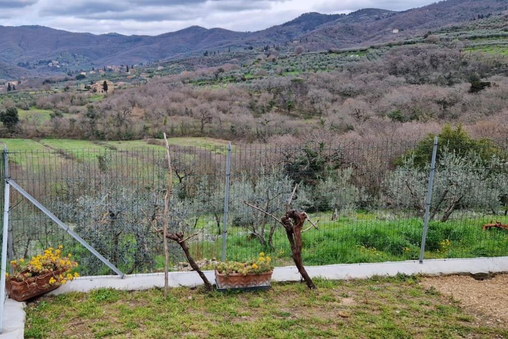 Appartamento Petreto Il Giardino Dei Limoni Castiglion Fiorentino Esterno foto