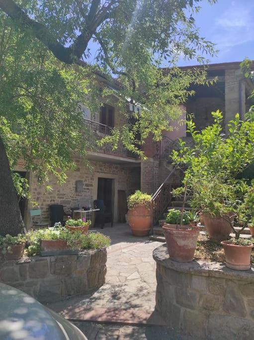 Appartamento Petreto Il Giardino Dei Limoni Castiglion Fiorentino Esterno foto